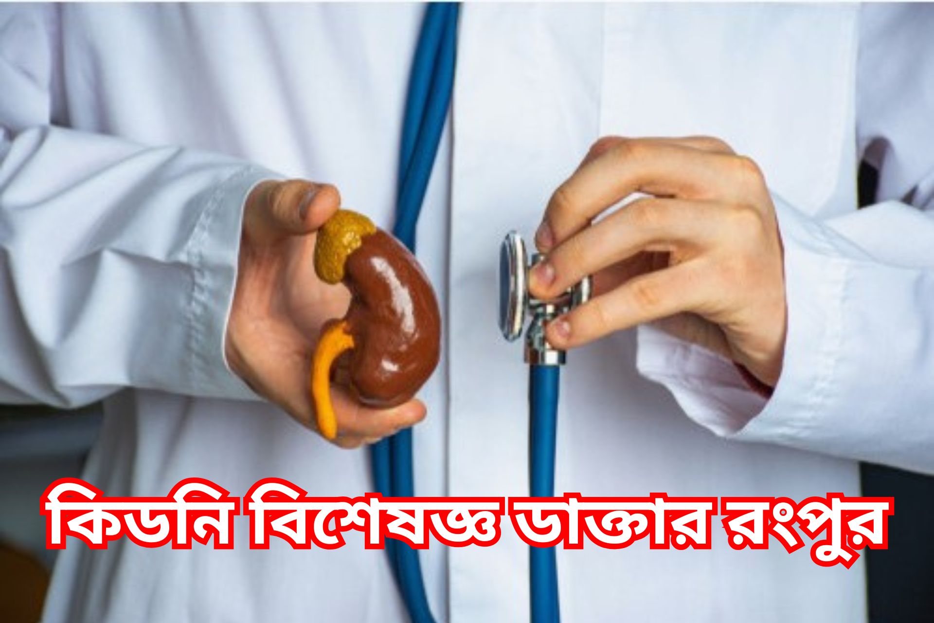কিডনি বিশেষজ্ঞ ডাক্তার রংপুর।